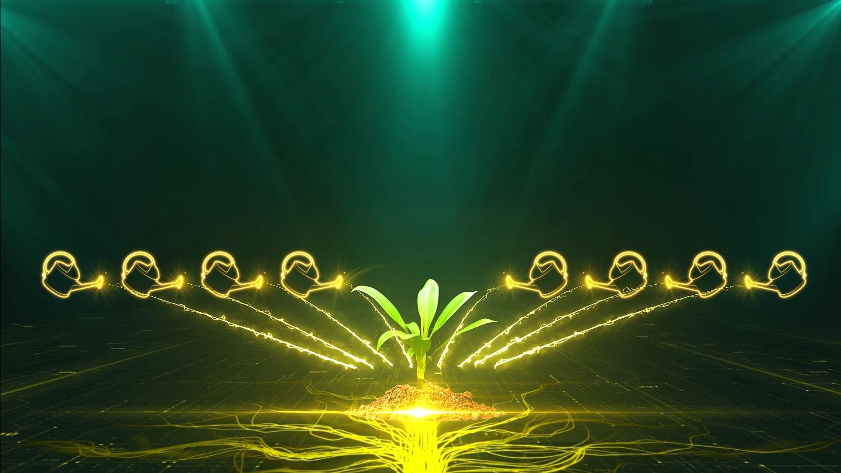 绿色启动——68款-启动视频